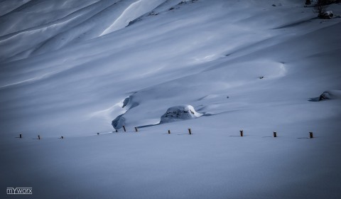 DSCF7050_1
